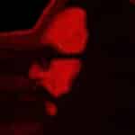 Διονύσης Σαββόπουλος και Ορέστης Πλακίδης – Το Ροκ του Μέλλοντός Μας άλμπουμ της Panik Oxygen