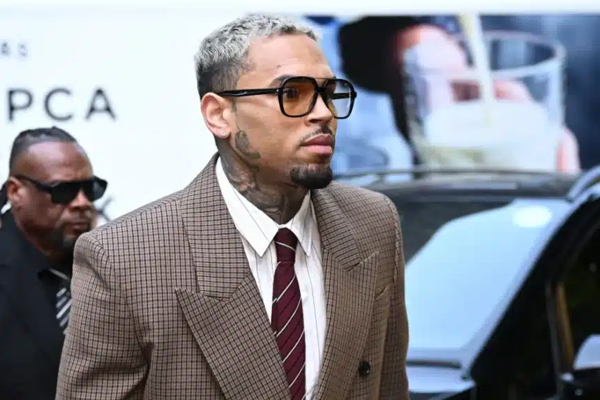 Chris Brown δικαστήριο μήνυση ντοκιμαντέρ A History of Violence