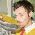 Harry Styles στη σκηνή της περιοδείας Together Together με πλήθος να τραγουδά