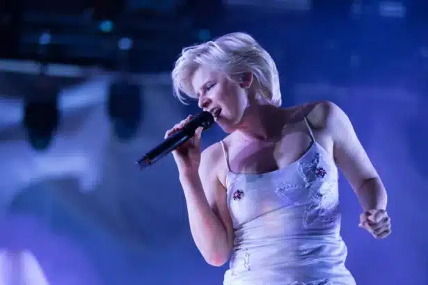 Robyn δηλώσεις Billie Eilish Charli xcx pop μουσική εικόνα σώμα