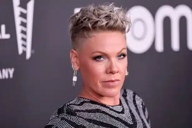 P!nk σε συναυλία κατά τη διάρκεια της περιοδείας της πριν την ακύρωση των live εμφανίσεων στο Μεξικό