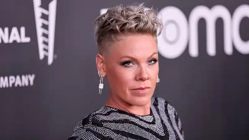 P!nk σε συναυλία κατά τη διάρκεια της περιοδείας της πριν την ακύρωση των live εμφανίσεων στο Μεξικό